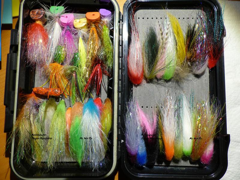 Barschstreamer Variationen 0491.JPG