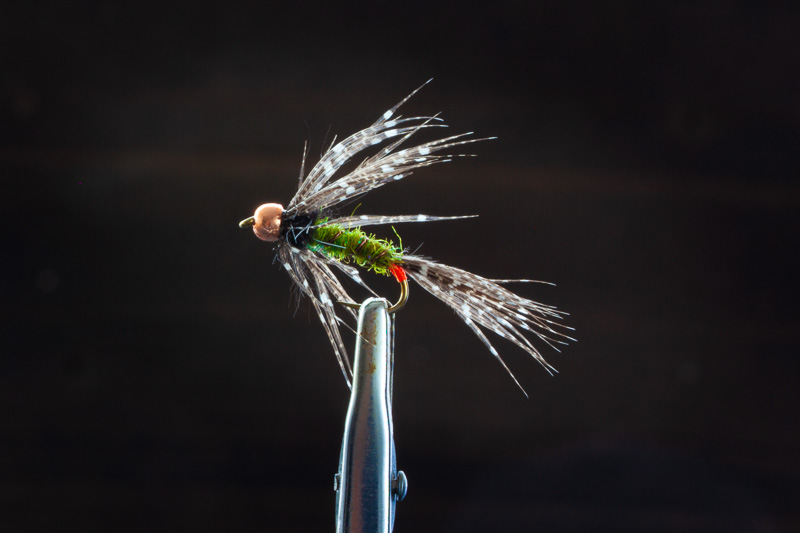 Perlhuhn Kupfer UV.JPG