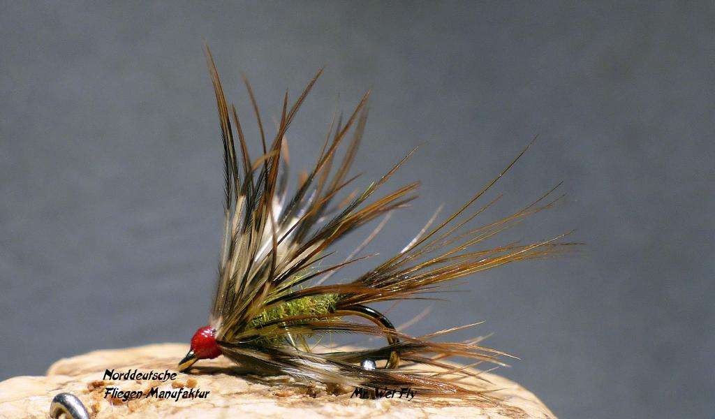 Projekt #16 0251.JPG