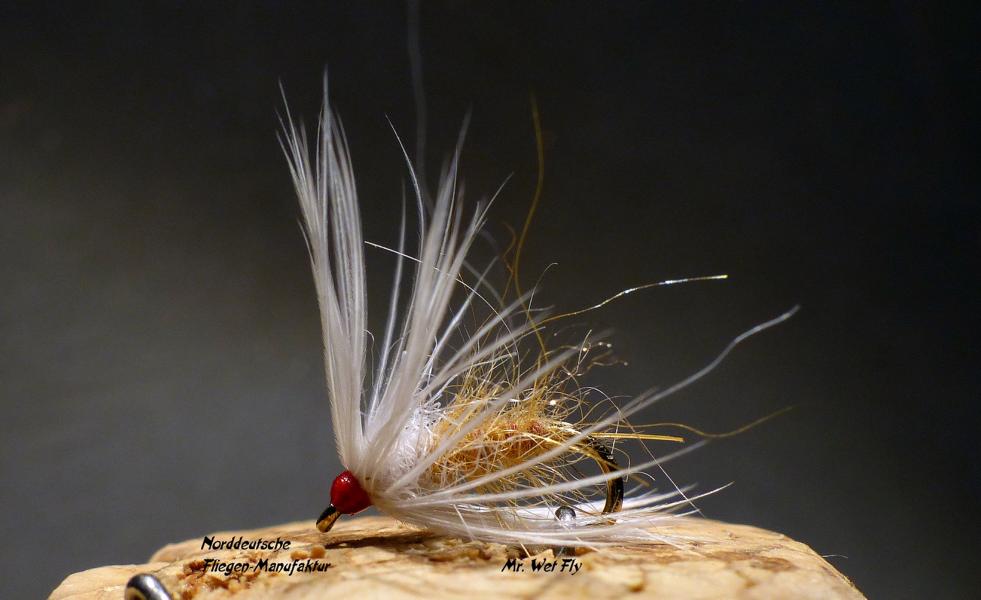 Projekt #16 0271.JPG