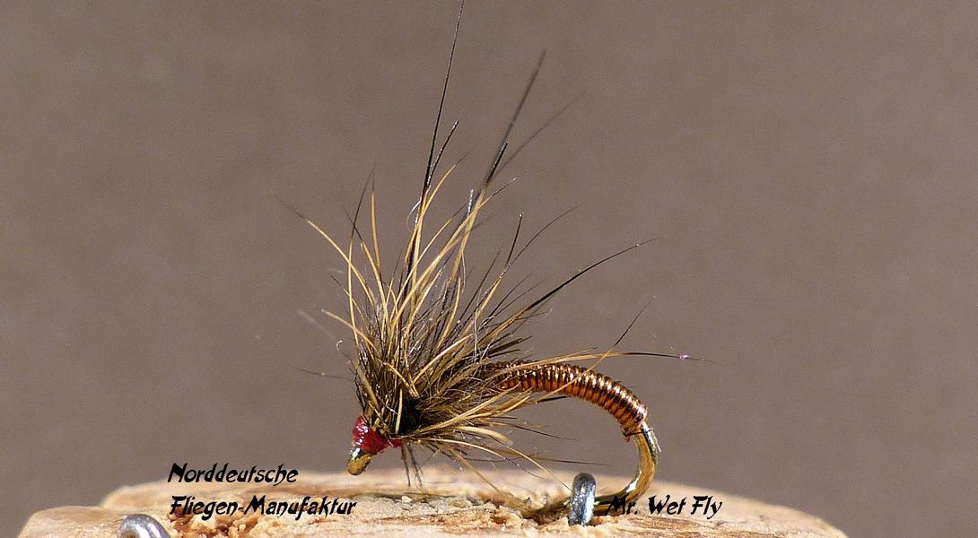 Projekt #16 0311.JPG