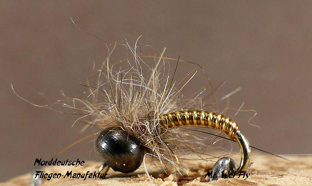 Projekt #16 0341.JPG