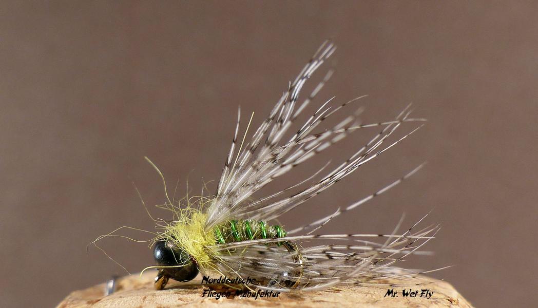 Projekt #16 0391.JPG