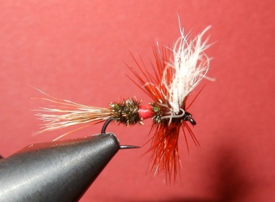 Royal Wulff klassisch 1 FF.jpg