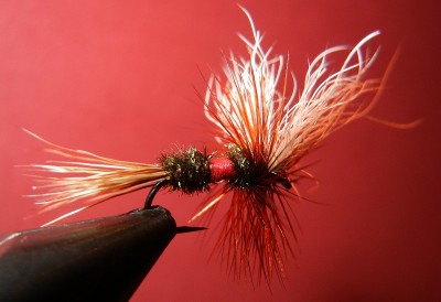 Royal Wulff klassisch 3 FF.jpg