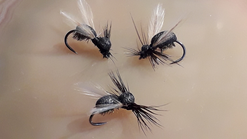 auf Hanak H500BL #14