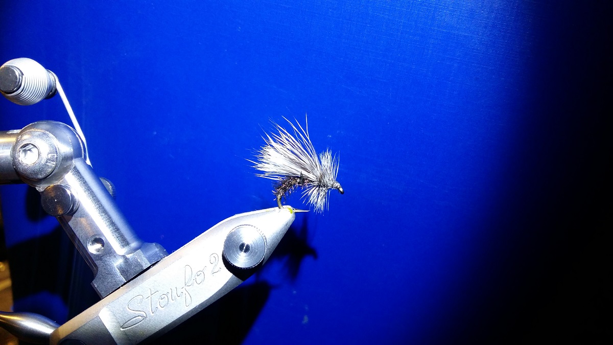 20190913_201650.jpg