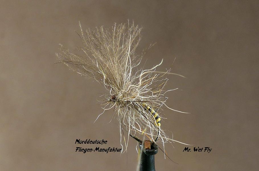 Emerger Variationen 0051.JPG