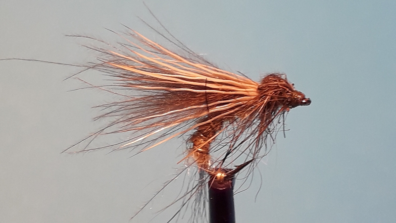 k-20191222_135420.jpg