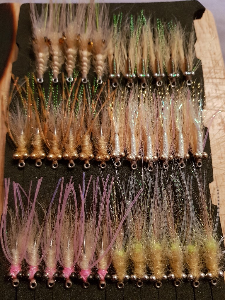 20191206_225553-768x1024.jpg