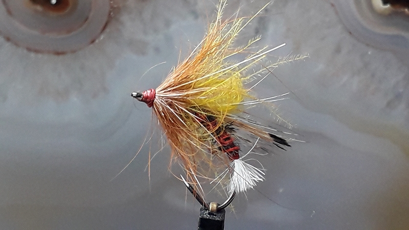 k-20191229_133233.jpg