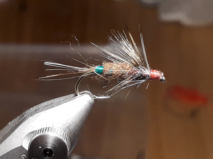 Nass oder nicht Gr.10.jpg