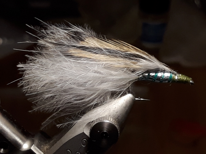 Wonderstream Gr.8.jpg