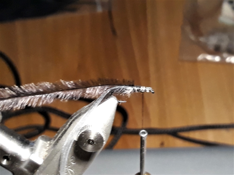 Adams Änderung Gr.14.jpg