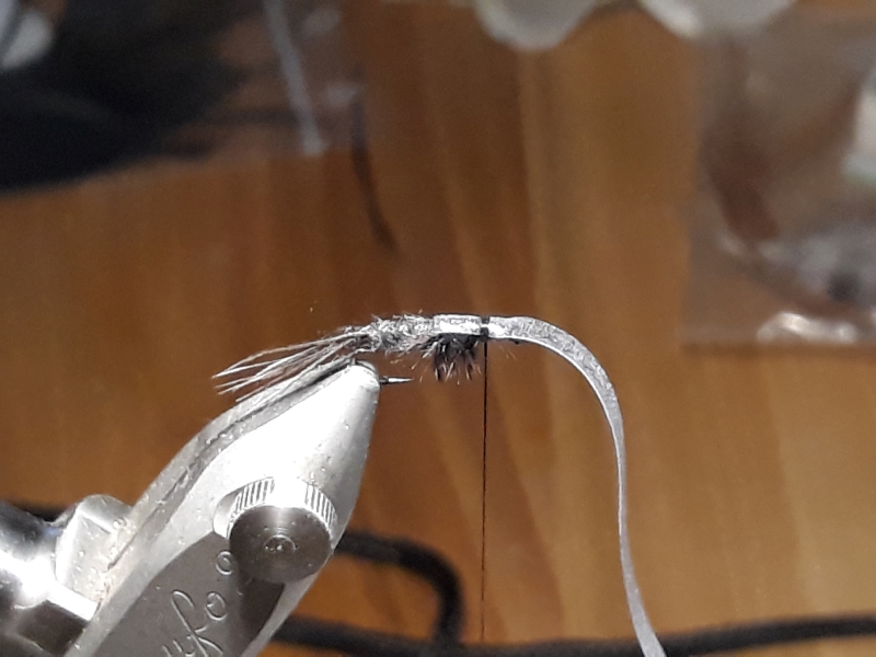 Adams Nymphe Gr14.jpg