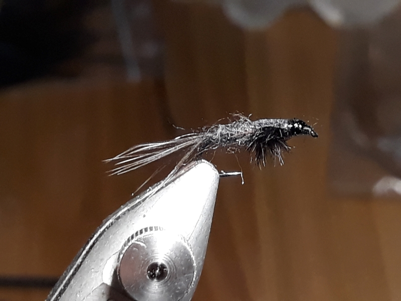 Black Nymph Gr.14.jpg