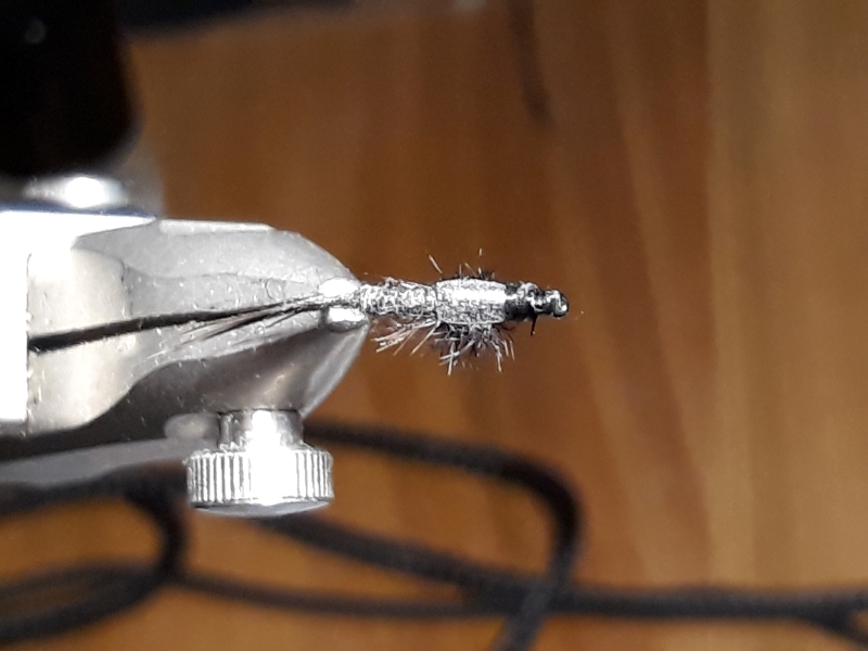 Black Nymph oben.jpg