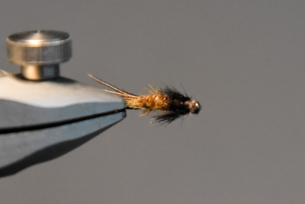 Nymphe Strauss braun 16 vu.jpg