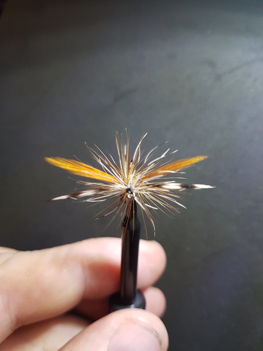 20200212_190558 (1).jpg