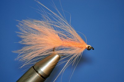 Speyhackel_Magnus_Salmon.jpg
