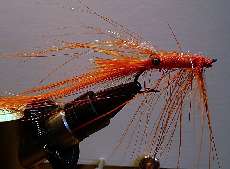 k-Paddegriesen 1.jpg