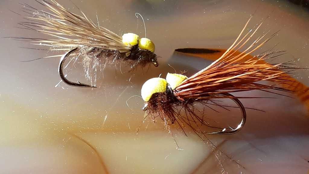 k-Balloon Caddis FM 1310 #12.jpg