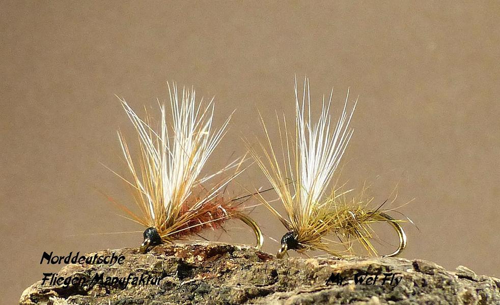 Emerger Variationen 0081.JPG