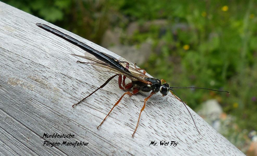 30.05.2020 (50)1.JPG