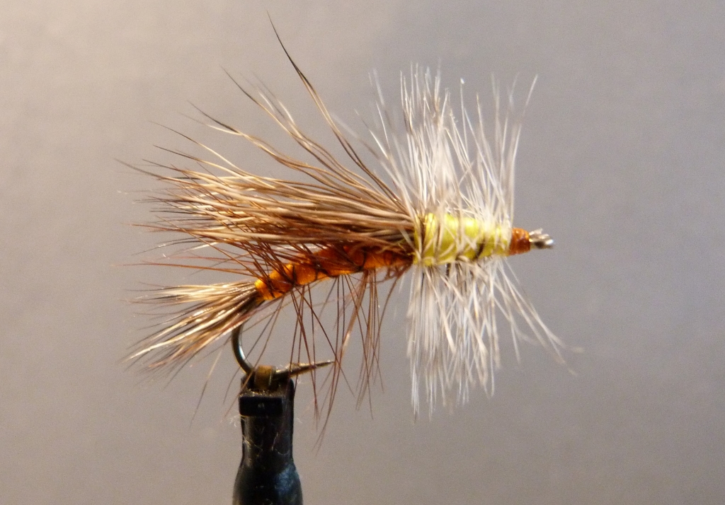 Stimulator orange_yellow 10.JPG