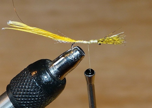 Fliegentom 3 Stück CDC Squirrel Nymphe helloliv 
